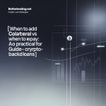 decision strategy for adding collateral vs repaying crypto loan